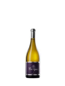 Chateau Castigno Wit 2016